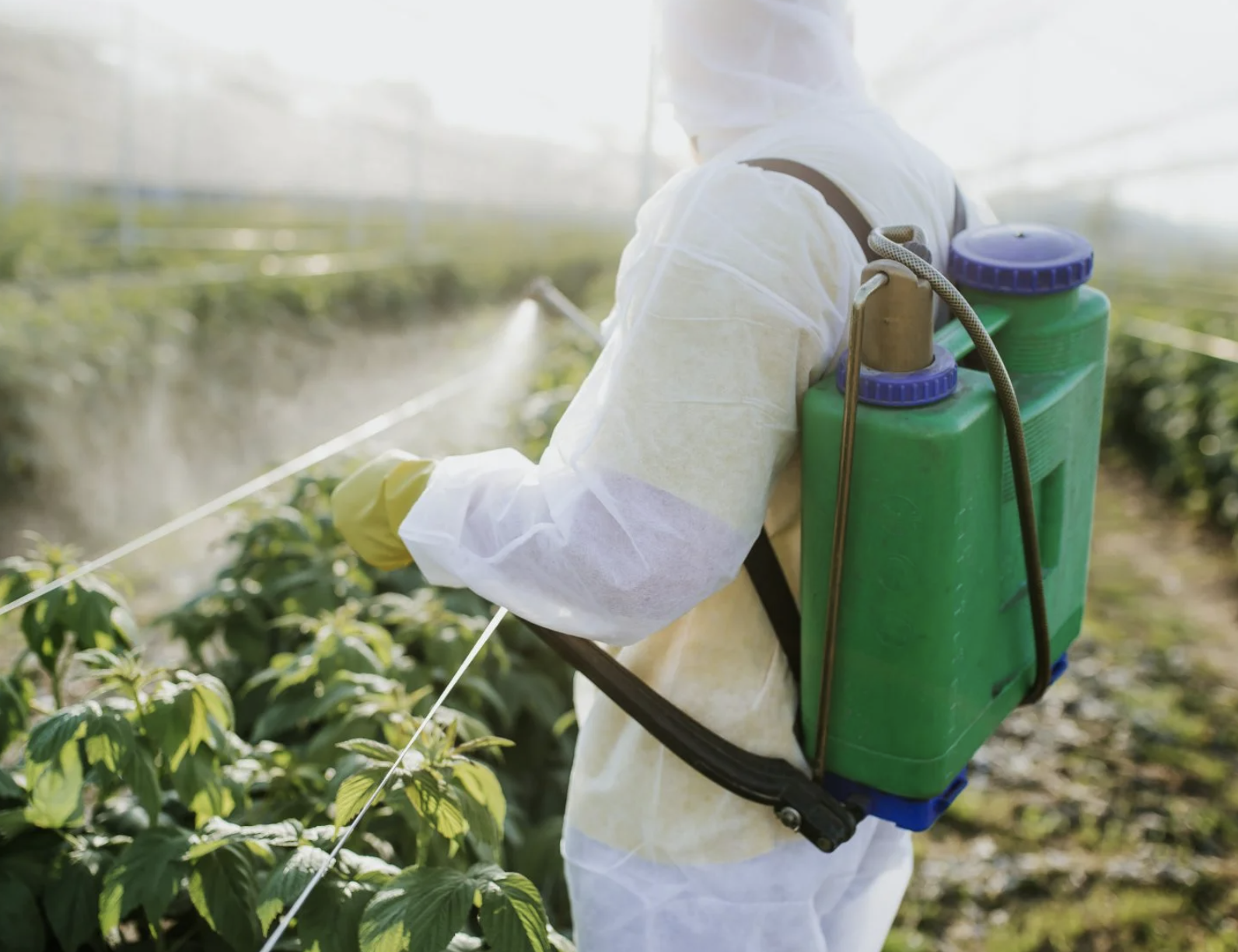CropLife America, one of the pesticide industry’s most notable trade groups, has long done its best to keep companies that create pesticides able to thrive, encouraging lawmakers to relax rules on clean water, among others. 